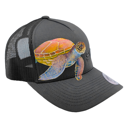 Immagine di CAPPELLINO SALTWATER LIMITED SEA TURTLE