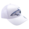 Immagine di CAPPELLINO SALTWATER LIMITED SHARK