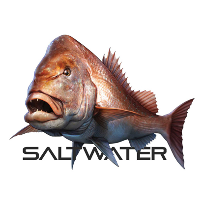Immagine di ADESIVO SALTWATER DENTICE