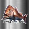 Immagine di ADESIVO SALTWATER DENTICE