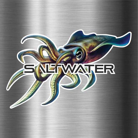 Immagine di ADESIVO SALTWATER CALAMARO