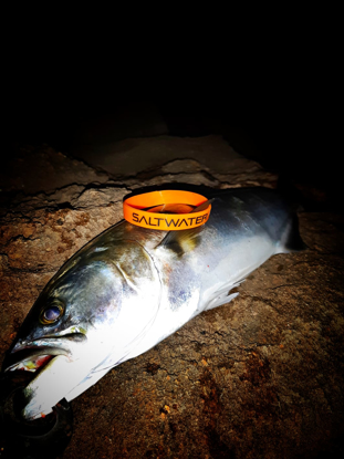 Immagine di "Saltwaterserraking" foto di Domenico lu Vikingu