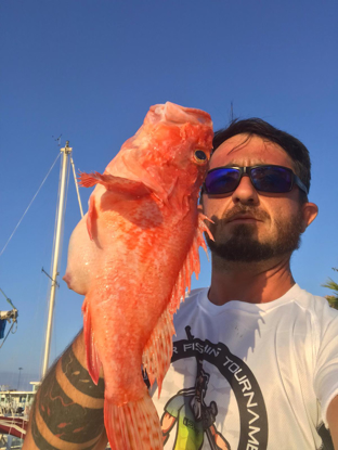 Immagine di "Scorfano Rosso" foto di Davide Demurtas