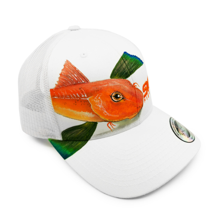Immagine di CAPPELLINO SALTWATER LIMITED GALLINELLA