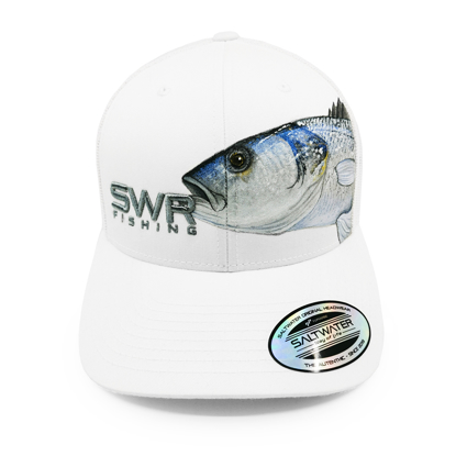 Immagine di CAPPELLINO SALTWATER LIMITED BRANZINO