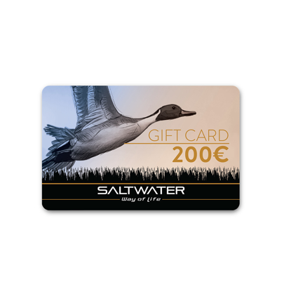 Immagine di GIFT CARD ''PINTAIL'' 200€