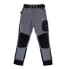Immagine di PANTALONE TECNICO APS GRIGIO