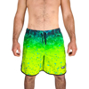 Immagine di PANTALONCINO REEF DORADO