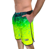 Immagine di PANTALONCINO REEF DORADO