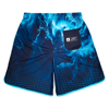 Immagine di PANTALONCINO  FROTHING